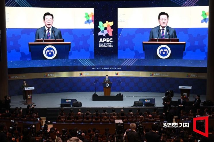 29     (APEC)  (CEO) (Summit)     .