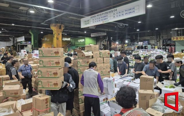 추석 연휴를 앞둔 지난 9월 서울 송파구 가락동 농수산물종합도매시장 채소동에서 경매가 이뤄지는 가운데 농산물 중개업자인 중도매인들이 상품을 살펴보고 있다. 김흥순 기자