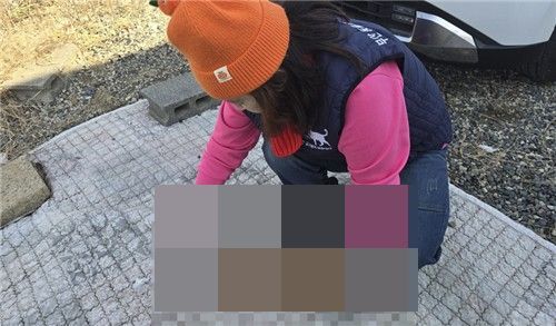 부산에서 학대를 당한 해 사망한 것으로 추정되는 고양이 사체가 발견됐다.동물사랑 길고양이보호연대