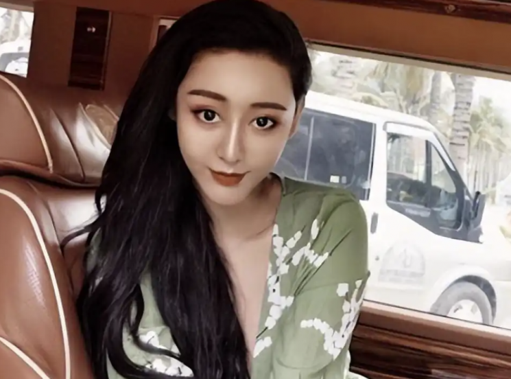 중국 배우 판빙빙 닮은꼴로 알려진 허청시. 바이두