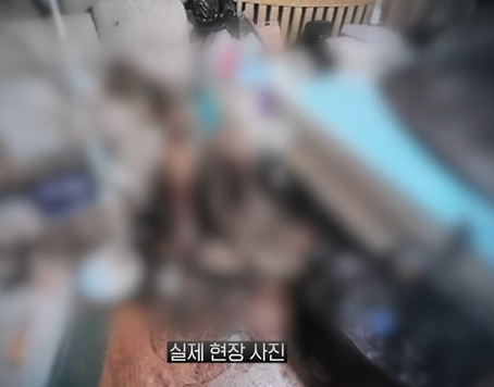 아내를 방치해 죽음에 이르게 한 육군 부사관이 살인 혐의 기소됐다.SBS 그것이 알고싶다 보도화면