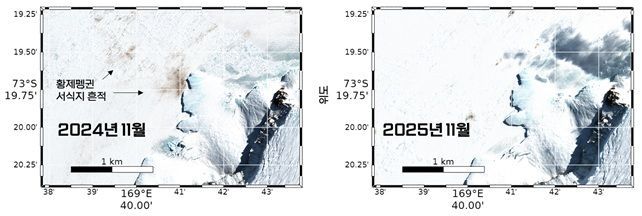 2024~25년 11월 쿨먼섬 황제펭귄 서식지 비교.2025년도에는 2024년도와 비교했을 때,황제펭귄 배설물인 구아노의 흔적(왼쪽 사진 갈색)을 거의 찾아볼 수 없음.극지연구소 제공