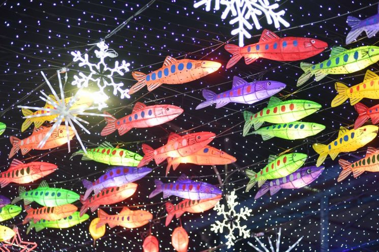 20일 점등된 화천 선등거리가 화려한 산천어등과 LED조명으로 화려하게 빛나고 있다.화천군 제공