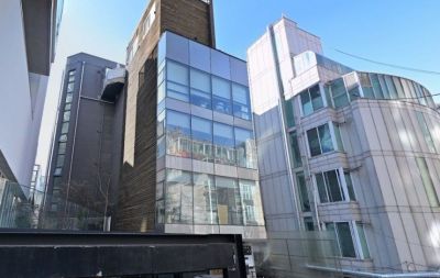 장우혁 소유의 청담동 건물.네이버 지도 캡처