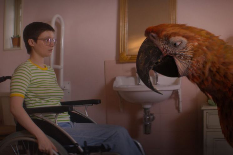 영화 '튜즈데이' 스틸 컷