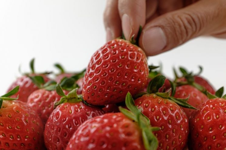 차라리 탄산음료가 나을 판…'과일' 잘못 먹으면 '독약'된다