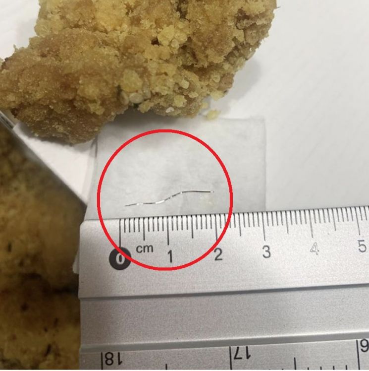 A씨가 커뮤니티에 올린 게시글에 첨부한 철사 사진.