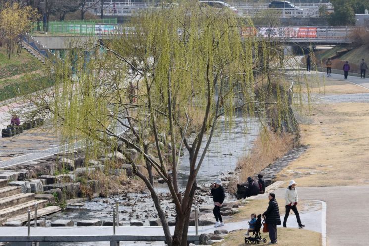 완연한 봄 날씨를 보인 지난 17일 부산 기장군 좌광천에서 시민들이 수양버들과 봄꽃 사이로 산책하고 있다.연합뉴스