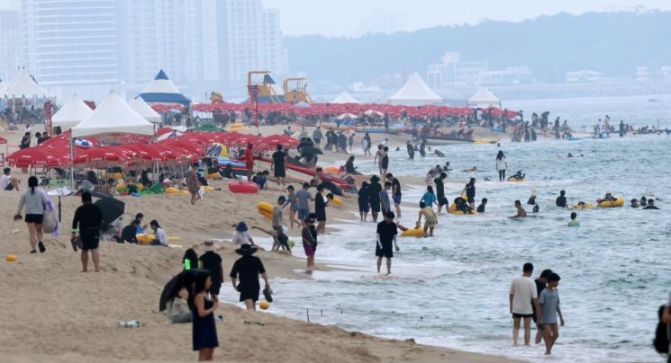 "절대 만지면 안돼"…보면 무조건 피해야 한다는 '여름바다 불청객' 정체
