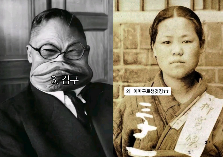 서경덕 성신여대 교수가 틱톡 등 SNS에 올라온 독립운동가 조롱 게시물을 공개했다. 페이스북