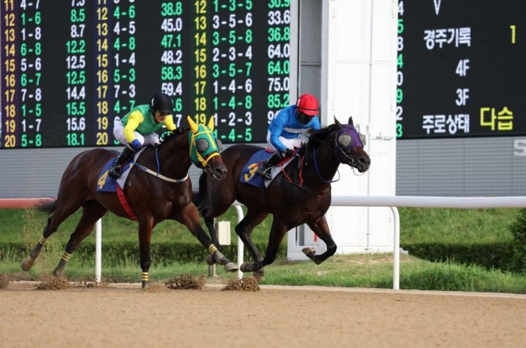 9월부터 영남권 경마 판도 달라진다! 영천경마공원 본격 가동