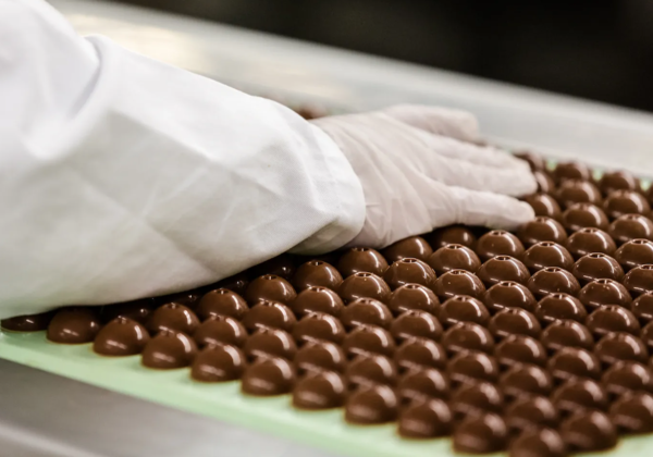 /사진 제공=린트