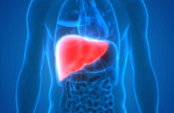 0000037097_001_20180801190433807.jpg?typ