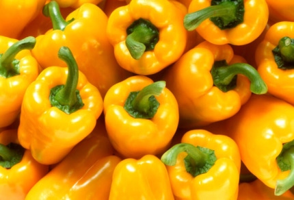 [사진=클립아트코리아]