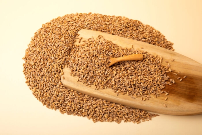 식습관 개선 등 건강 관리가 필요하다면 쌀밥에 복합 탄수화물을 넣는 방법이 있다. 고대곡물인 파로(사진)와 귀리, 보리 등은 식이섬유와 항산화 성분이 풍부해 비만 및 혈당 관리에 도움을 준다.&#160;