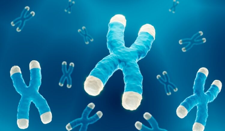 엄마 건강에 따라 아이의 평생 건강과 수명에까지 영향을 줄 수 있다.[사진=클립아트코리아]