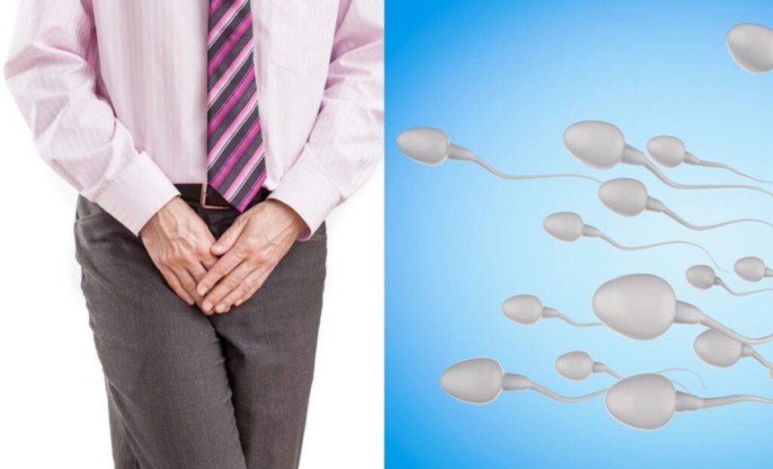 난임(불임) 남성의 혈중 인산염 수치를 조사했더니 그 수치가 평균(정상)보다 낮은 사람이 전체의 36%나 됐다.이에 비해 일반 남성의 경우엔 그 비율이 4%에 그쳤다.인산염이 정자의 운동성과 품질에 나쁜 영향을 
