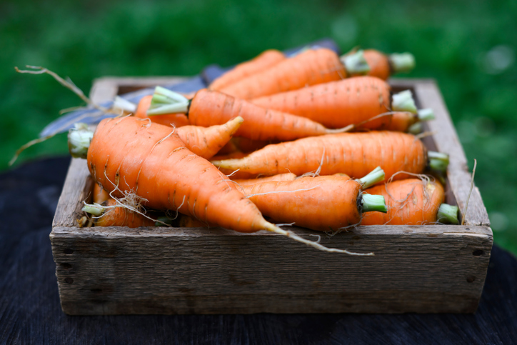 모든 주황색 과일이나 채소는 베타카로틴 성분을 함유하고 있다. 이 성분은 눈을 관통하는 빛 에너지의 흡수를 돕고 밤에 시야의 적응력을 높여준다. 사진=게티이미지뱅크