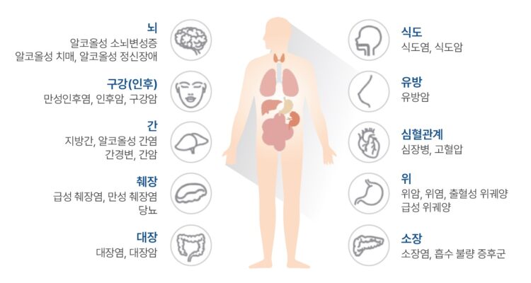 인체 장기 별로 살펴보는 알코올의 영향.사진=동남권원자력의학원