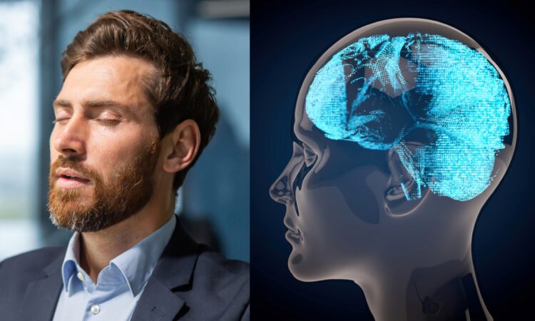 인간의 뇌 네트워크 발달은 30대 초반까지 이어지는 것으로 나타난 것이다.  사진=게티이미지뱅크