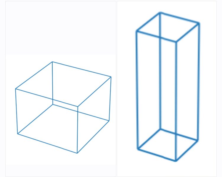 다른 동물은 정육면체, 사람은 사각기둥에 비유해 체형을 설명할 수 있다.