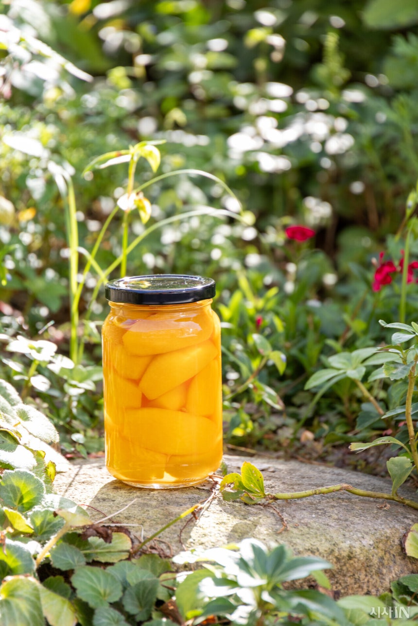 황도씨가 나고 자란 경기 이천시 장호원은 복숭아가 흔한 동네였다.농장에서 파지를 사서 만든 병조림으로 겨울을 났다.©시사IN 신선영