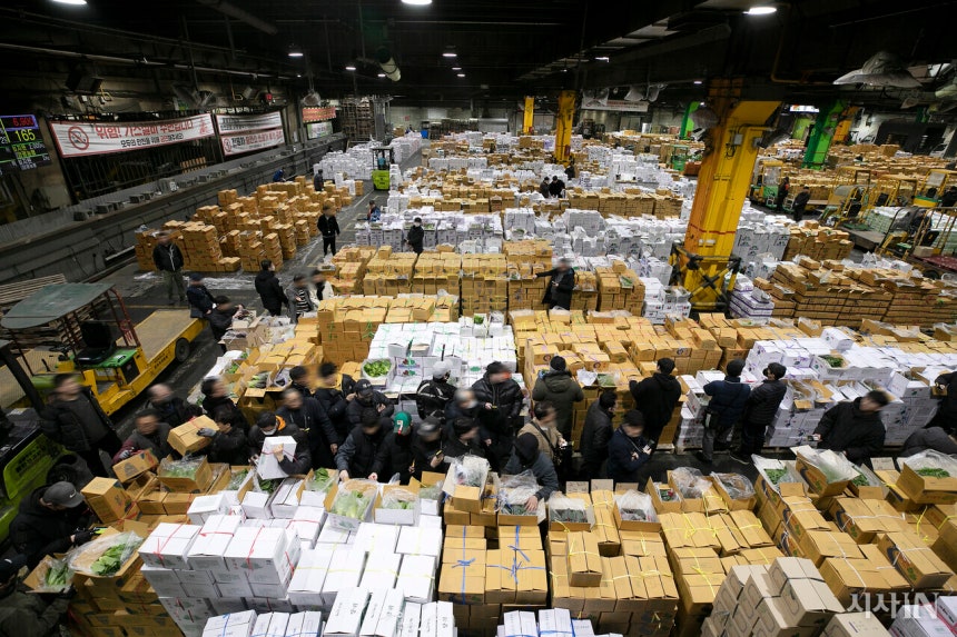 2024년 3월6일 오후 서울 송파구 가락농수산물종합도매시장에서 야채 경매가 열리고 있다©시사IN 이명익