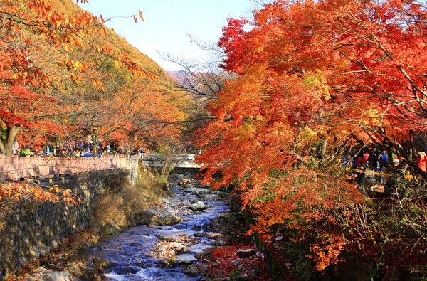 멀리 떠나지 않아도 좋다… 가을이 아름다운 동두천으로