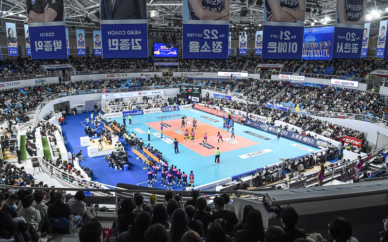 V리그, 14일 '20번째 대장정' 시작…아시아쿼터+이적생 활약 기대
