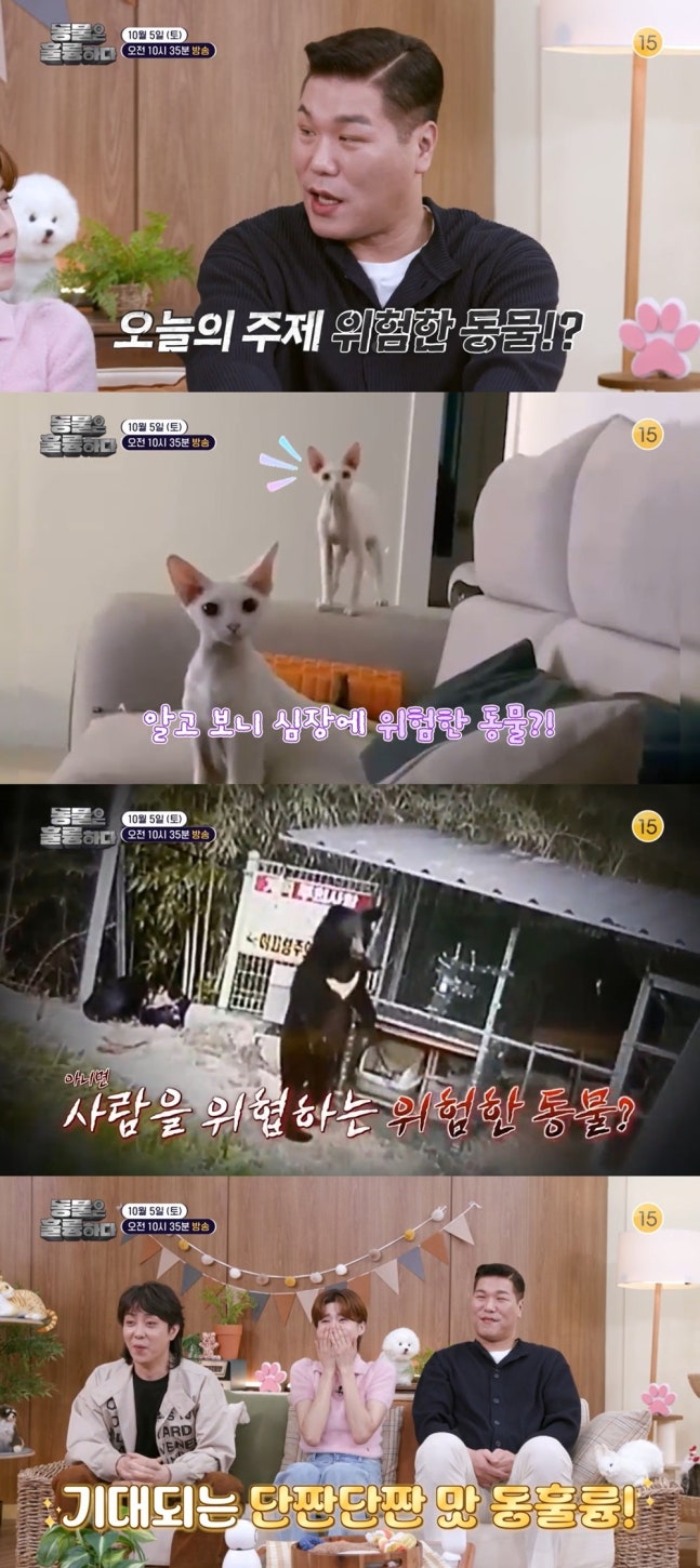 "사람이 제일 무서워" 서장훈→장도연 '충격'…'동물은 훌륭하다', 위험천만 상황 뭐길래 | 인스티즈