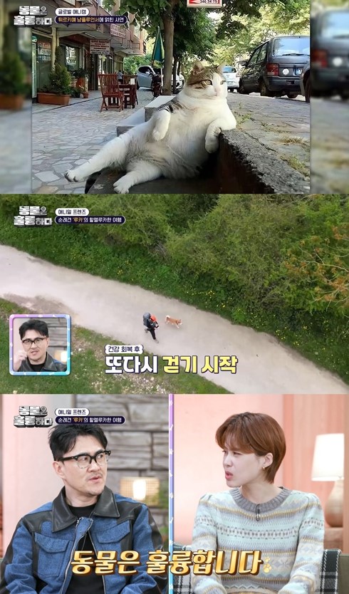 '동훌륭' 장도연, 튀르키예 냥플루언서 '톰 빌리' 국민적 인기에 