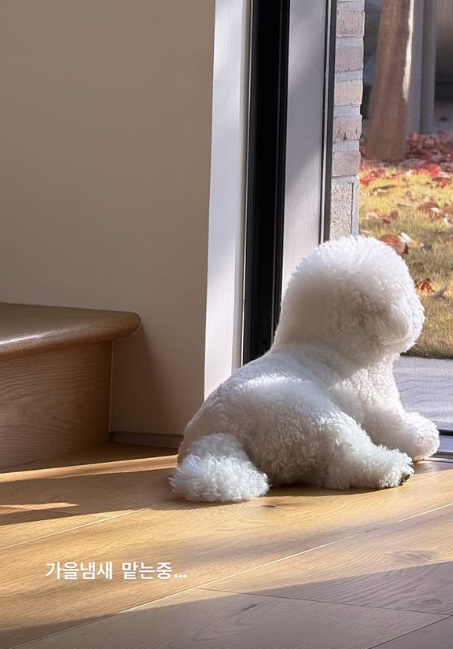 0001942664_002_20251117124706256.jpg?type=w647