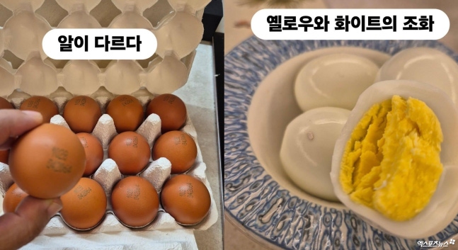 0001943031_002_20251117214509381.jpg?type=w647