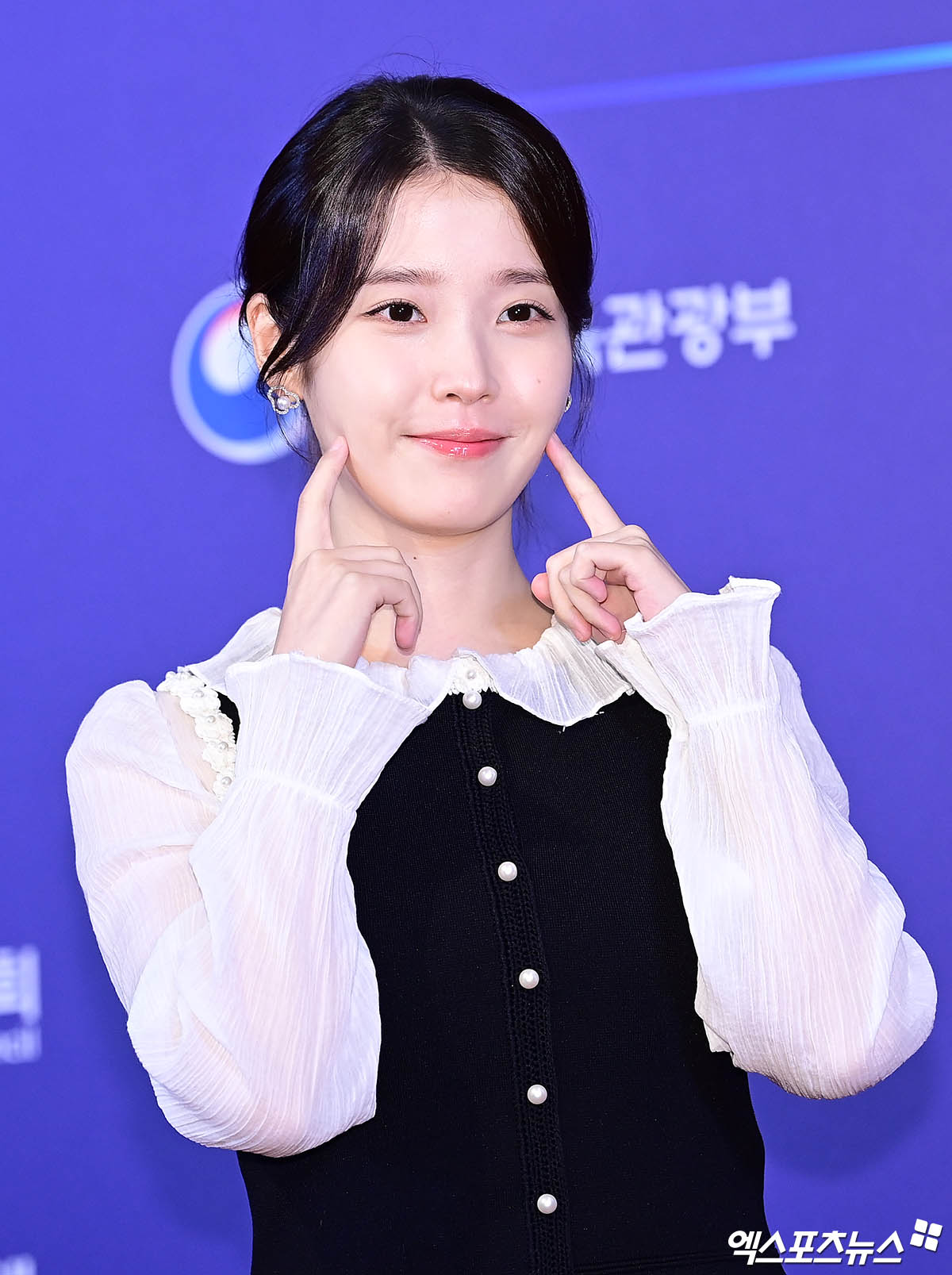 "아이유는 중국인" 루머 유포자 끝까지 잡는다…미국 법원에 신원조회 ...