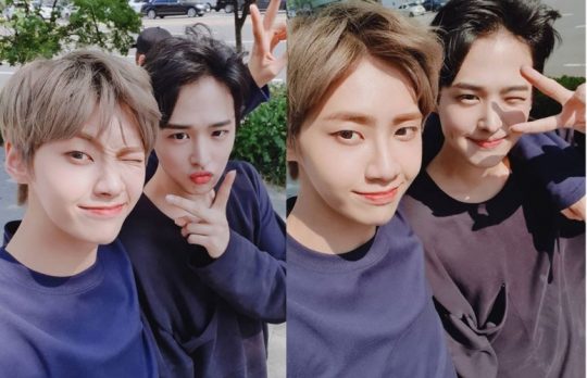 원본 이미지
