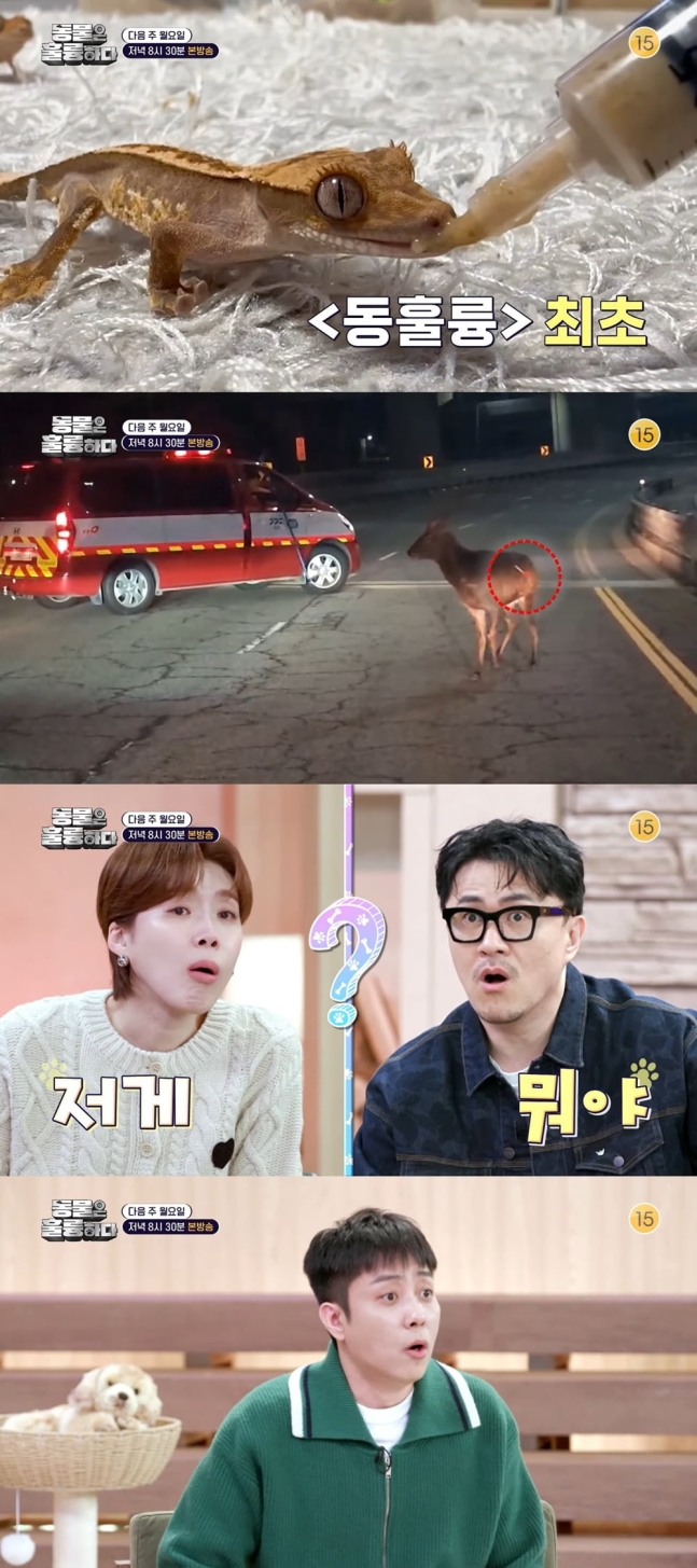 데프콘, 녹화 도중 경악 사태 터졌다…