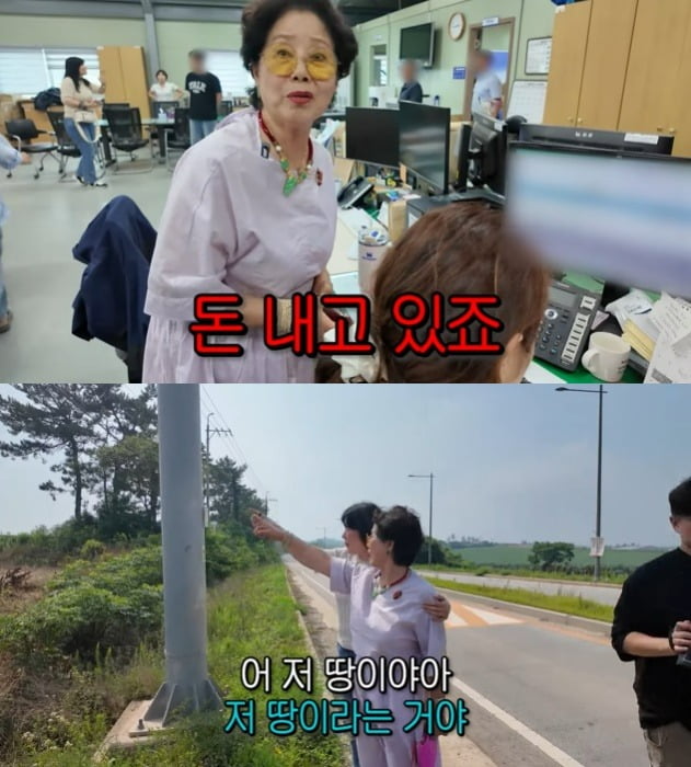 '이태원 건물주' <b>선우용여</b>, 남편이 남긴 <b>900평 땅</b> 찾았다…"몇만 평은 사...