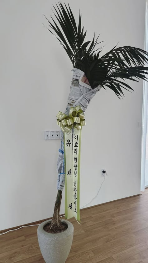 <b>이효리</b> '<b>요가원</b> 개업'에 <b>유재석</b>도 나섰다…"원장님 번창하세요"