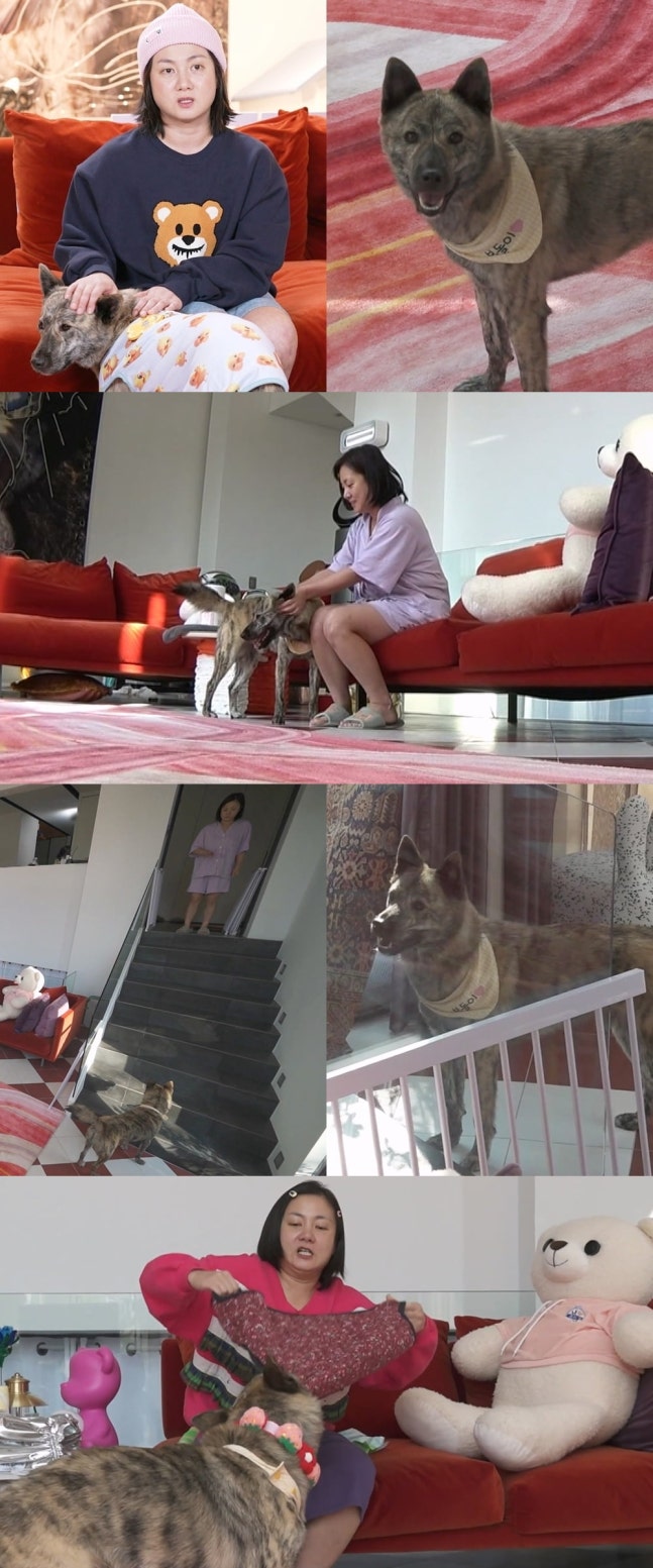 0000736820_002_20251120210111092.jpg?type=w647