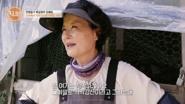 '복길엄마' 김혜정, 돌연 산속 1000평 집 생활…"몸 구부려 밤새 울었다"