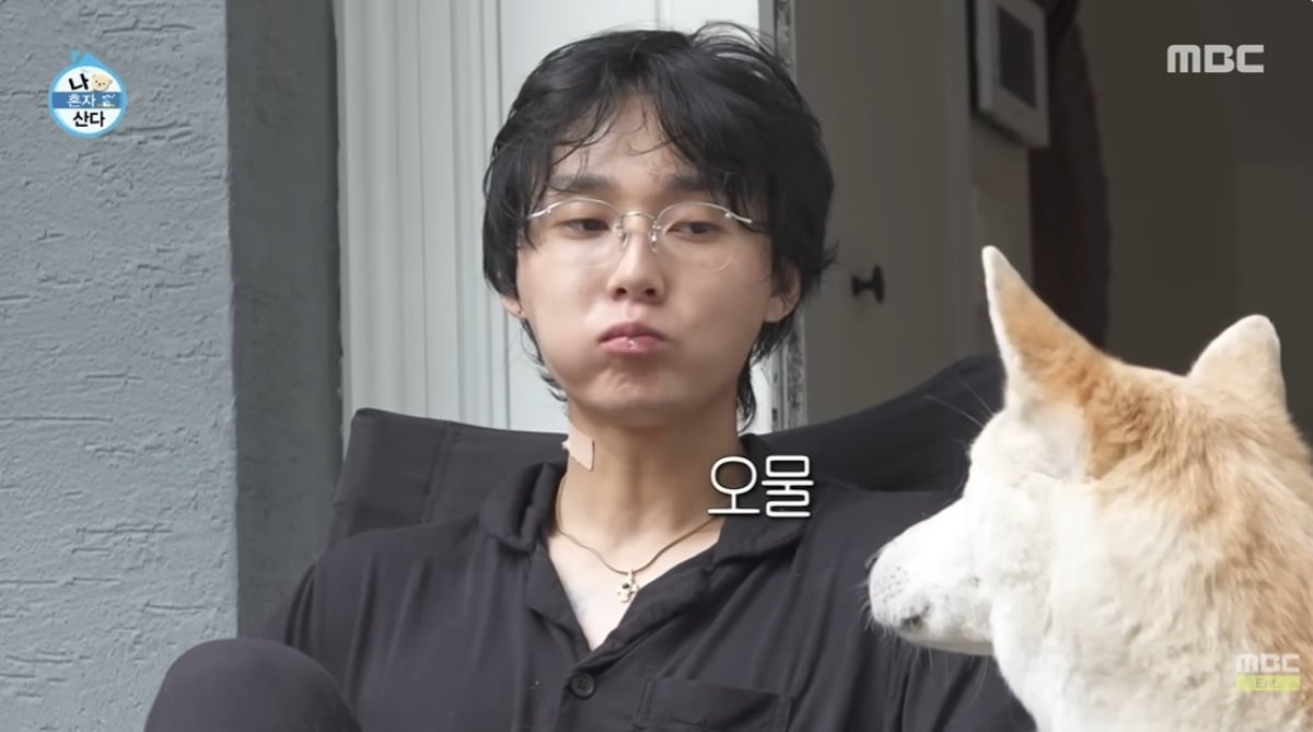<b>던</b>, 건강 이상 고백…"만성부신증후군, 햇빛 많이 봐야 해" ('<b>나혼산</b>')