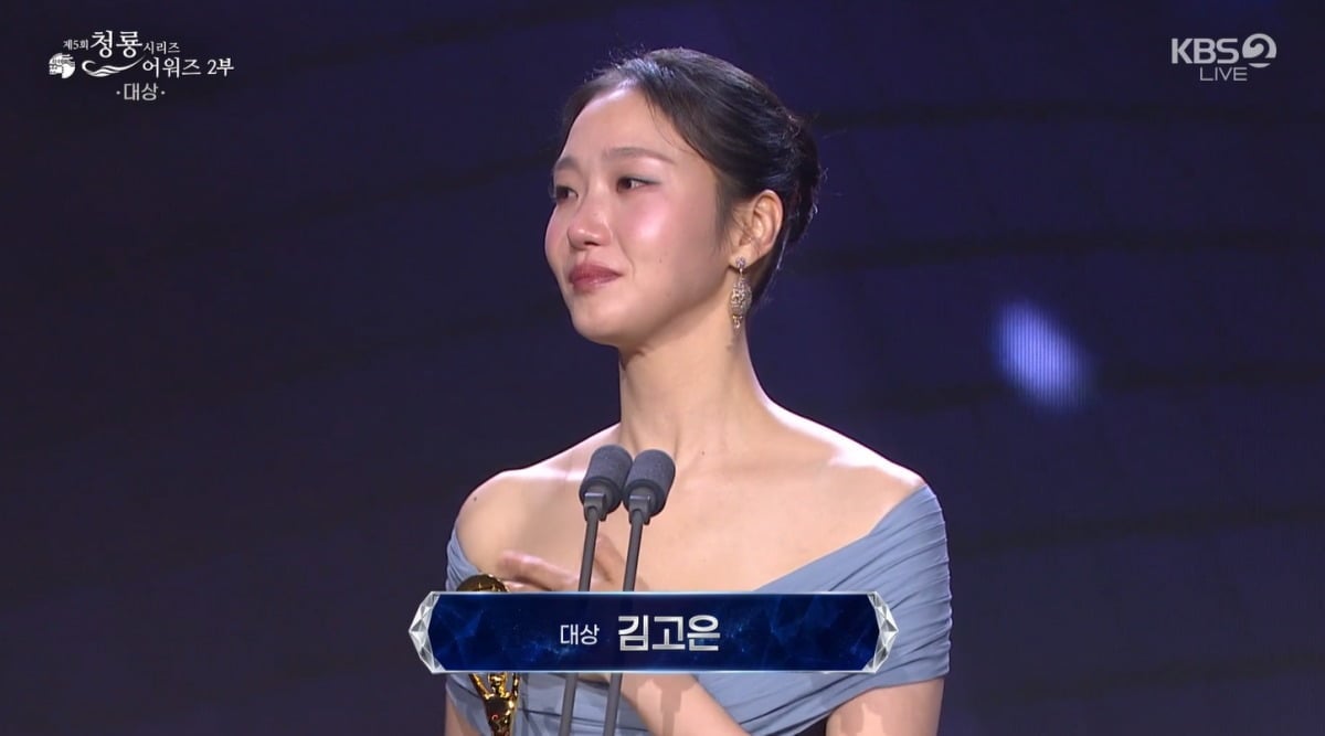 'Cook Up a Storm' Takes 3 Trophies, But Kim Go-eun's Tearful Grand Prize Speech Steals the Night