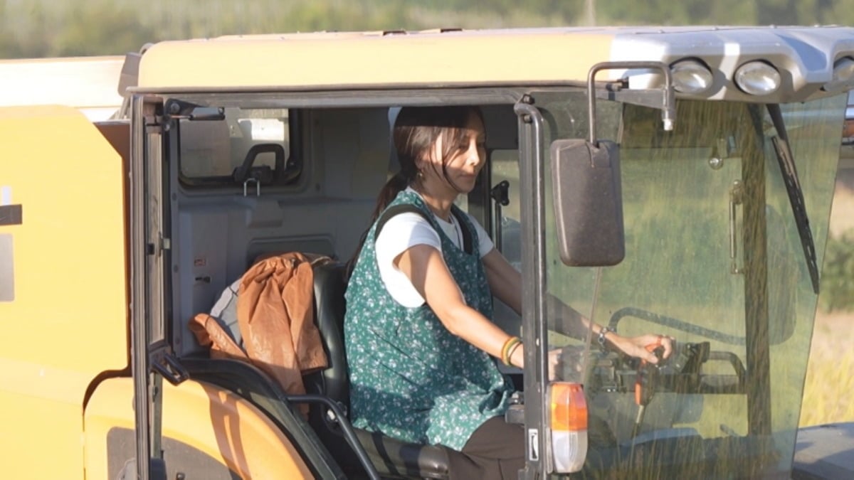 コンバインを運転するファン・シネ