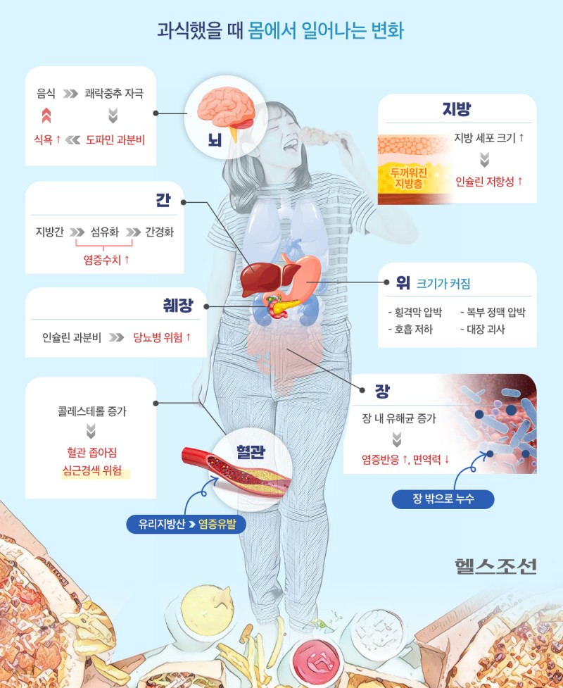먹방 유튜버 줄줄이 사망… 몸 ‘이렇게’ 병들어 갔을 것