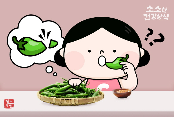 고추를 먹을 때는 깨끗이 세척한 뒤 꼭지를 제거하고 먹으면 된다./그래픽=헬스조선DB