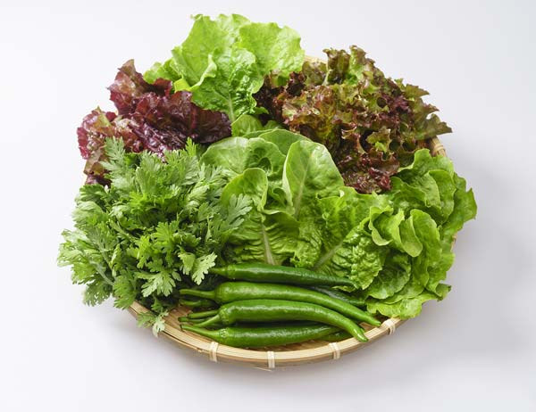 사진=클립아트코리아