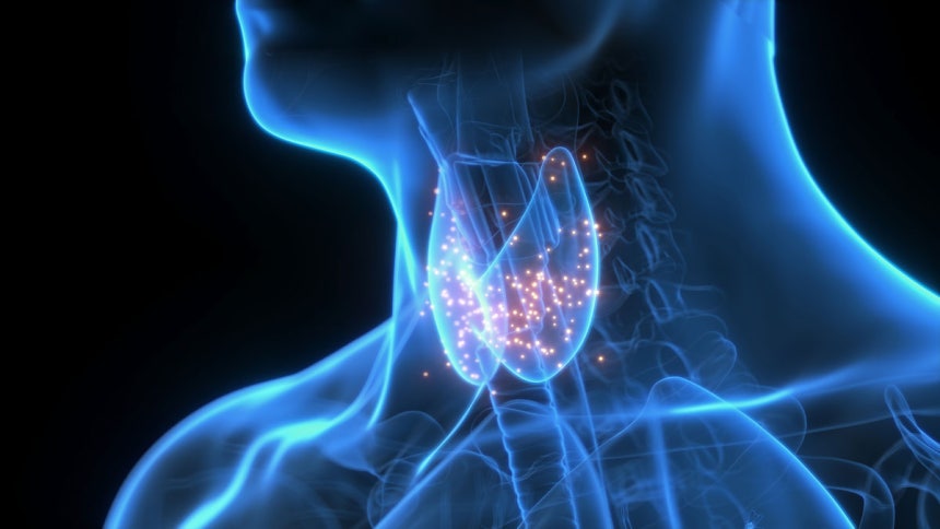 사진=클립아트코리아