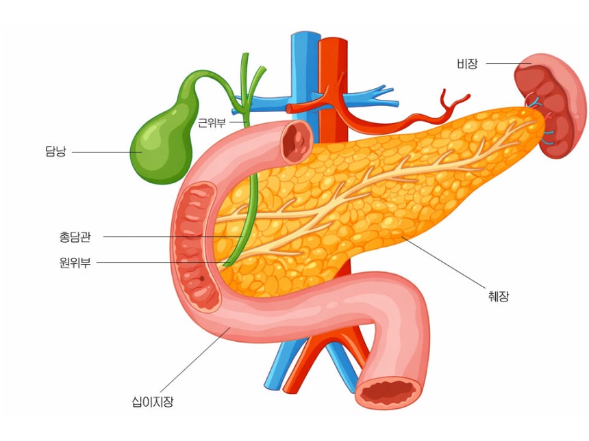 사진=게티이미지뱅크