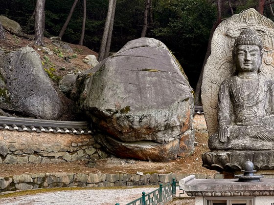 경주 남산 보리사 석조여래좌상 뒤 거북바위가 버티고 있다.김홍준 기자