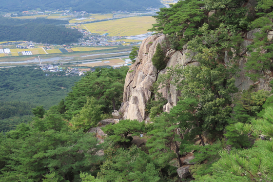경주 남산 삼릉곡 마애석가여래좌상.김홍준 기자